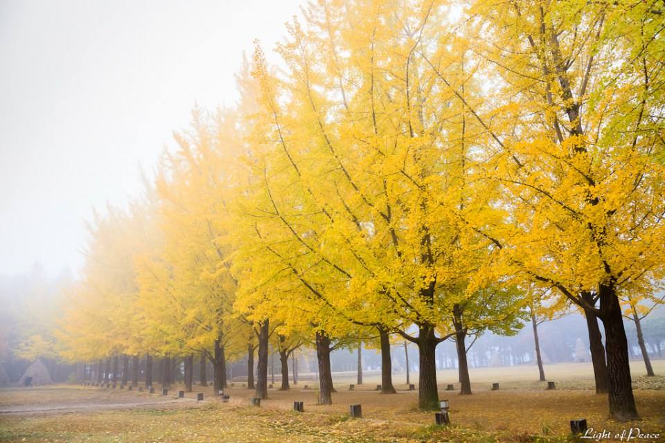 A beautiful World 21