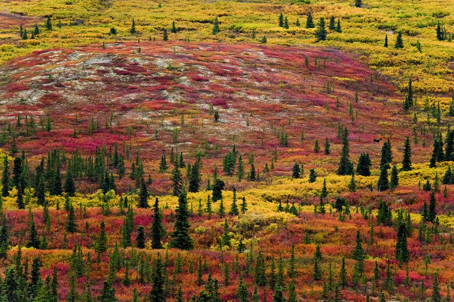 A beautiful World 21