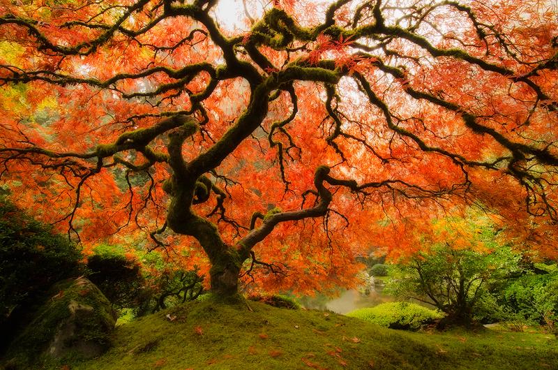 A beautiful World 21