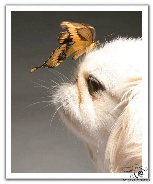A beautiful World 22