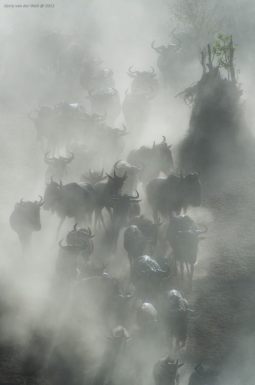 A beautiful World 22