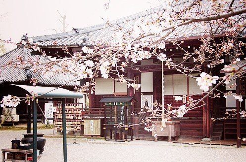 บ้านสวยแบบญี่ปุ่น