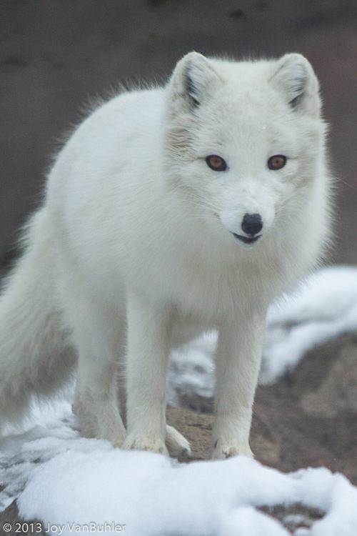 A beautiful World 23