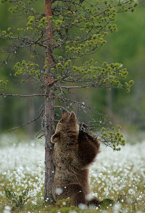 A beautiful World 23