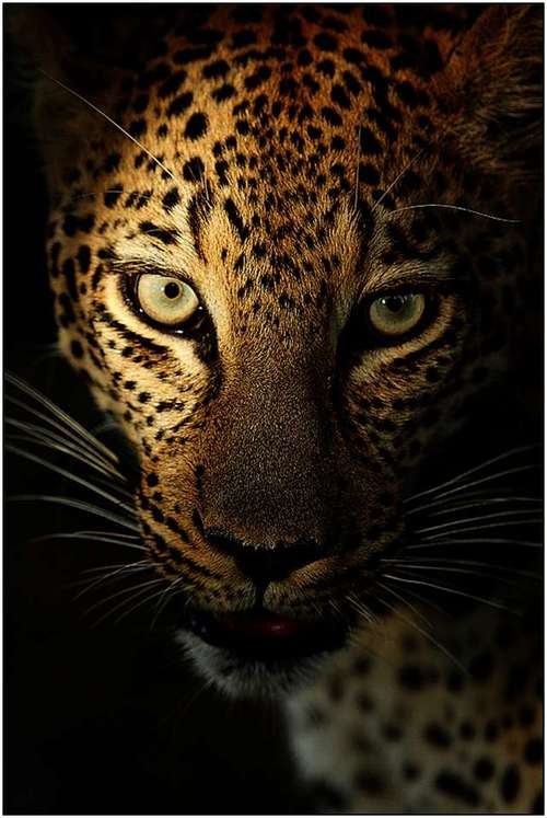 A beautiful World 23