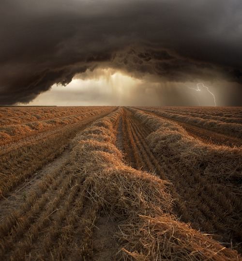 A beautiful World 23