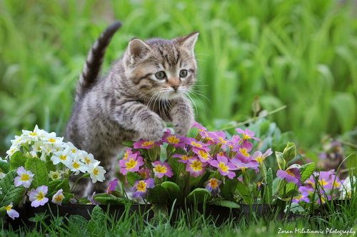 A beautiful World 23