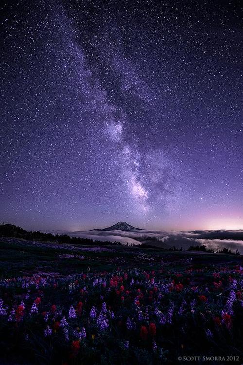 A beautiful World 24