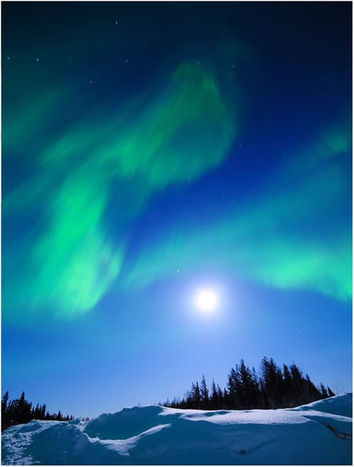 A beautiful World 24