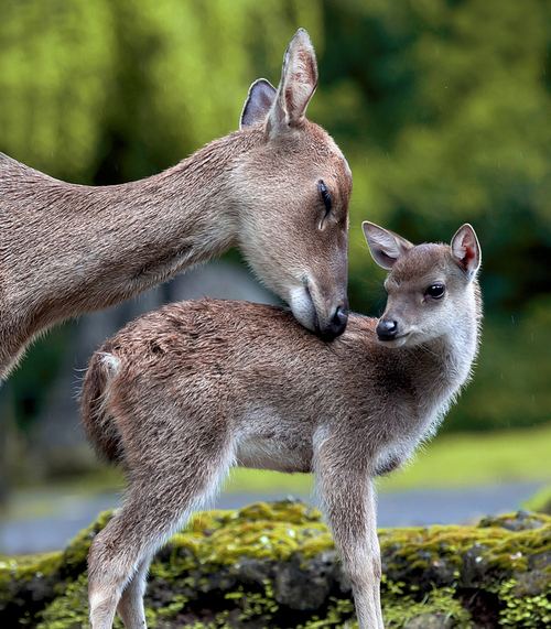 A beautiful World 24