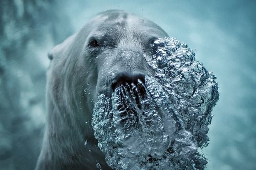 A beautiful World 24