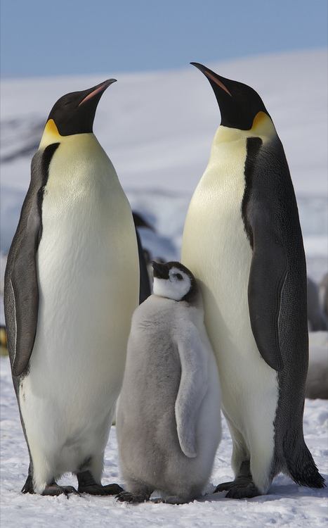 A beautiful World 24