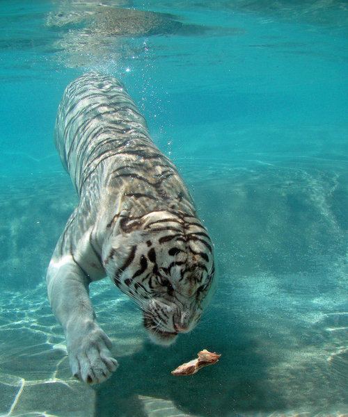 A beautiful World 24