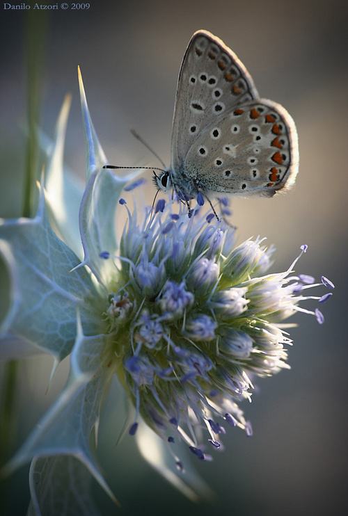 A beautiful World 24