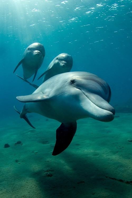 A beautiful World 24