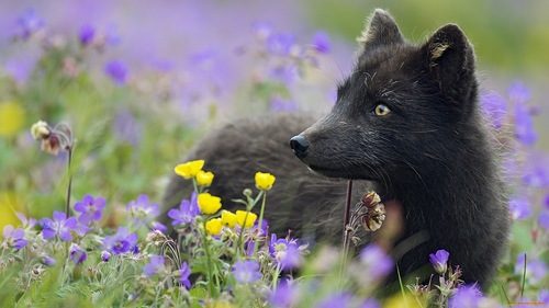 A beautiful World 24