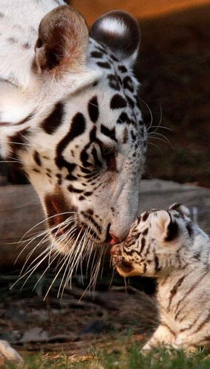A beautiful World 25