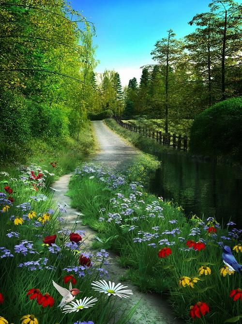 A beautiful World 25