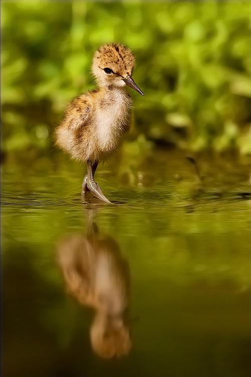 A beautiful World 25