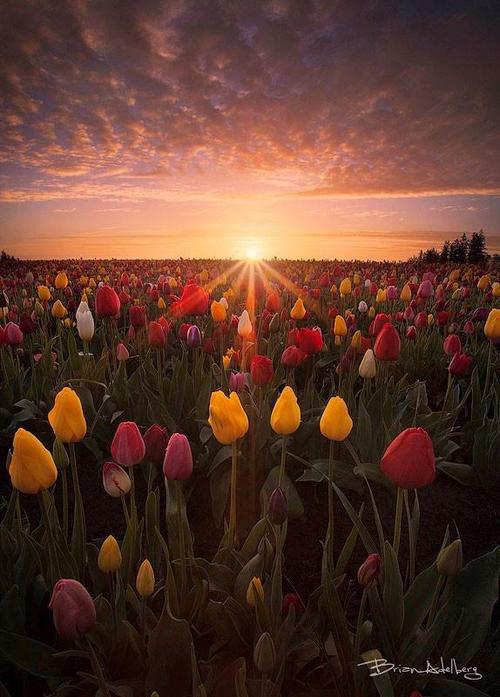 A beautiful World 25