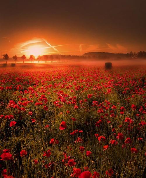 A beautiful World 25