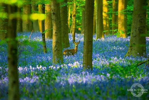 A beautiful World 25