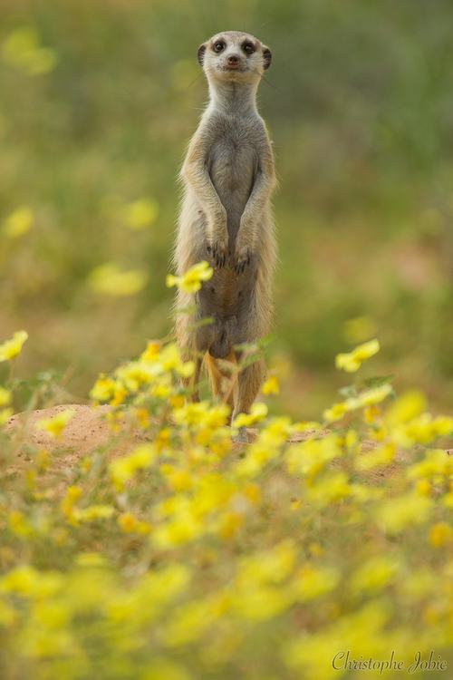 A beautiful World 25