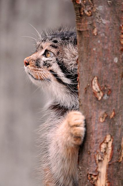 A beautiful World 25