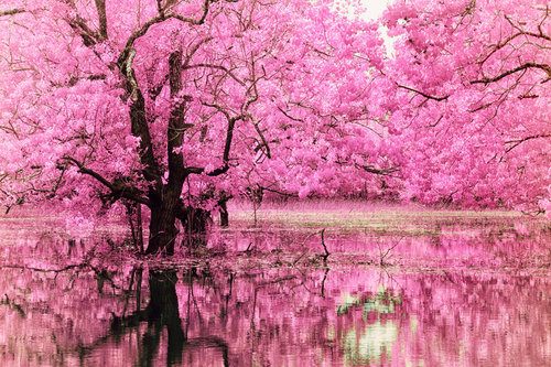 A beautiful World 25