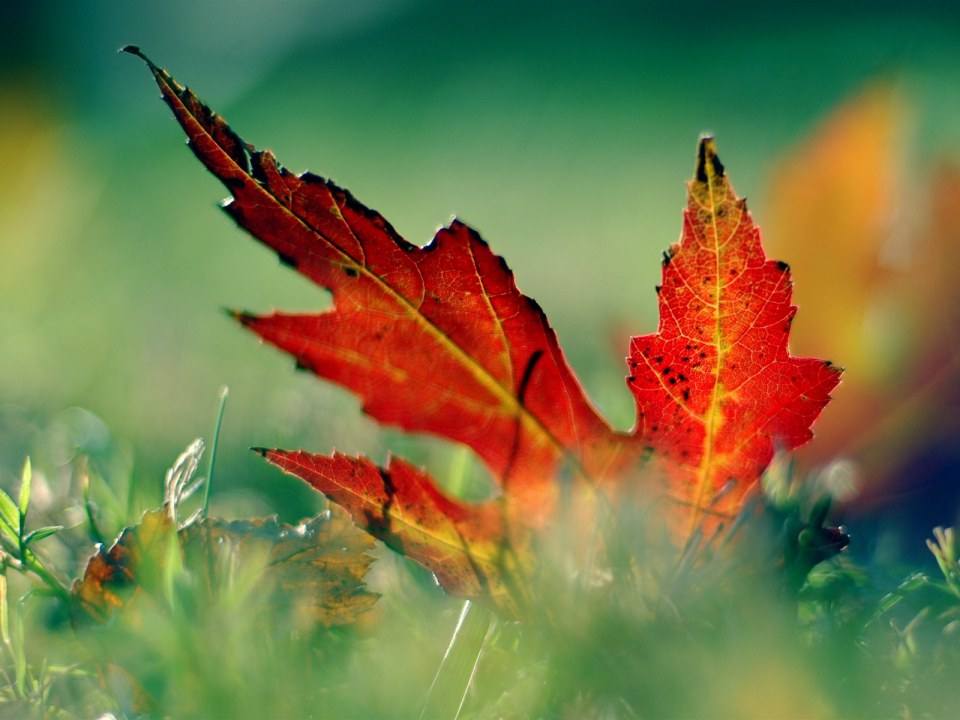 รูป wall paper HD II ครับ