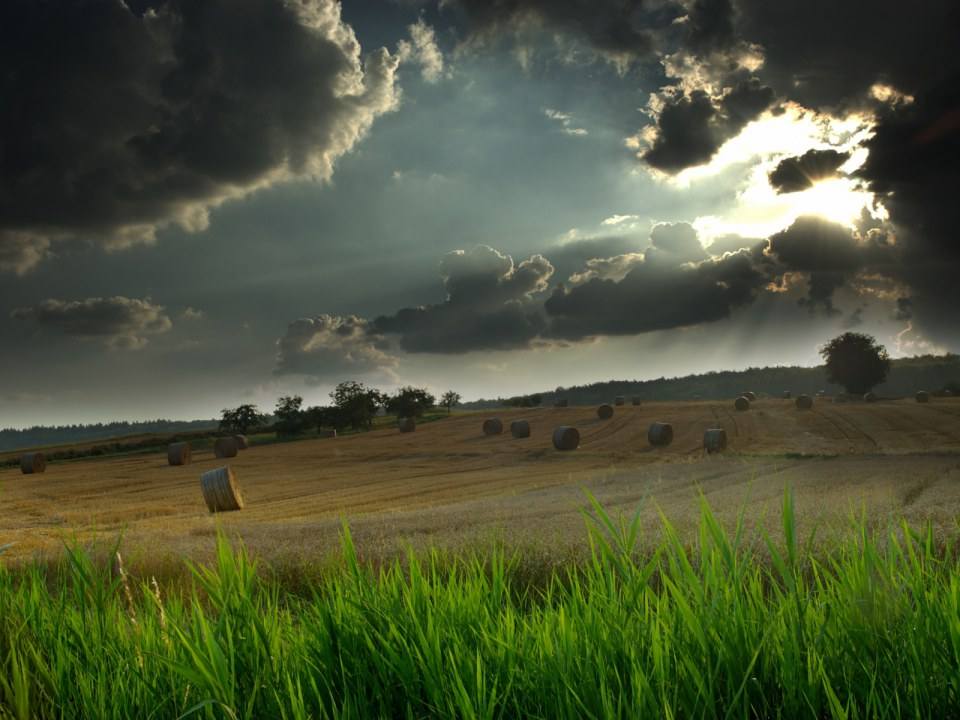 รูป wall paper HD II ครับ