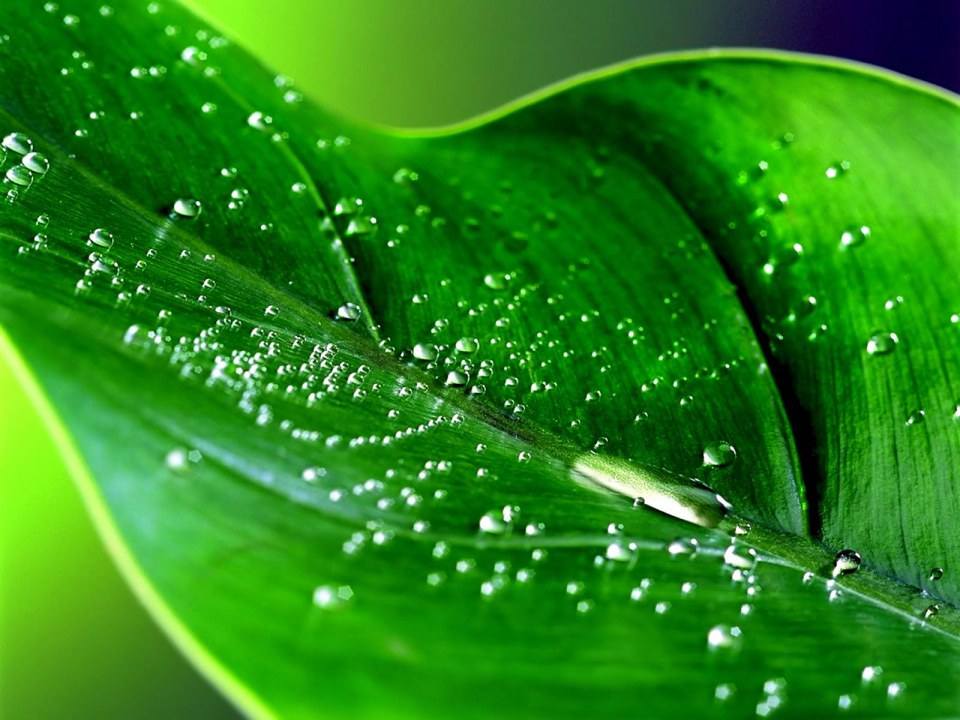 รูป wall paper HD II ครับ