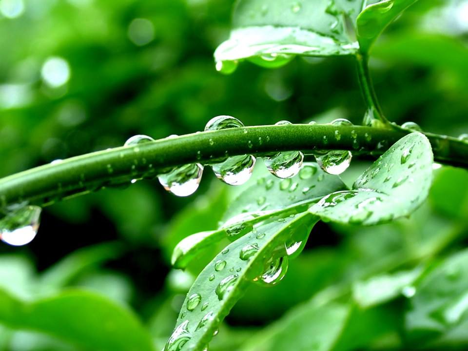 รูป wall paper HD II ครับ