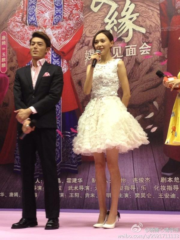 งานแถลงข่าว Perfect Couple 《金玉良缘》- 2013