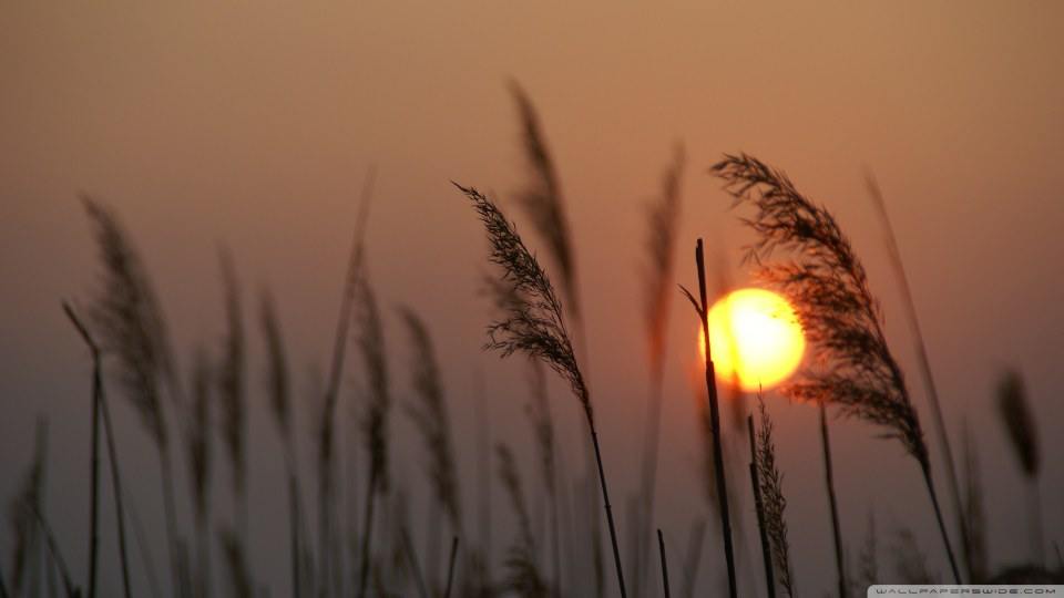 รูป wall paper HD IIIII ครับ