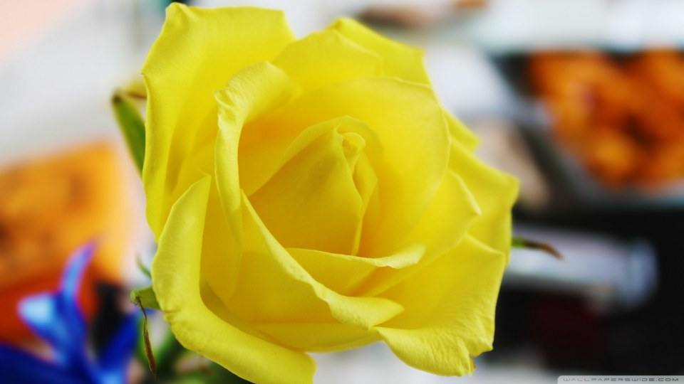 รูป wall paper HD IIIII ครับ