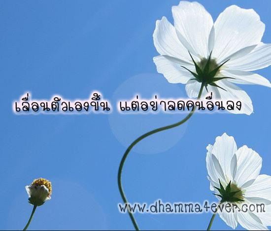 ธรรมะ ล้างจิต เตือนสติ กระตุ้นหิริโอตตัปปะ 2