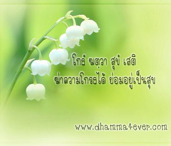 ธรรมะ ล้างจิต เตือนสติ กระตุ้นหิริโอตตัปปะ 2