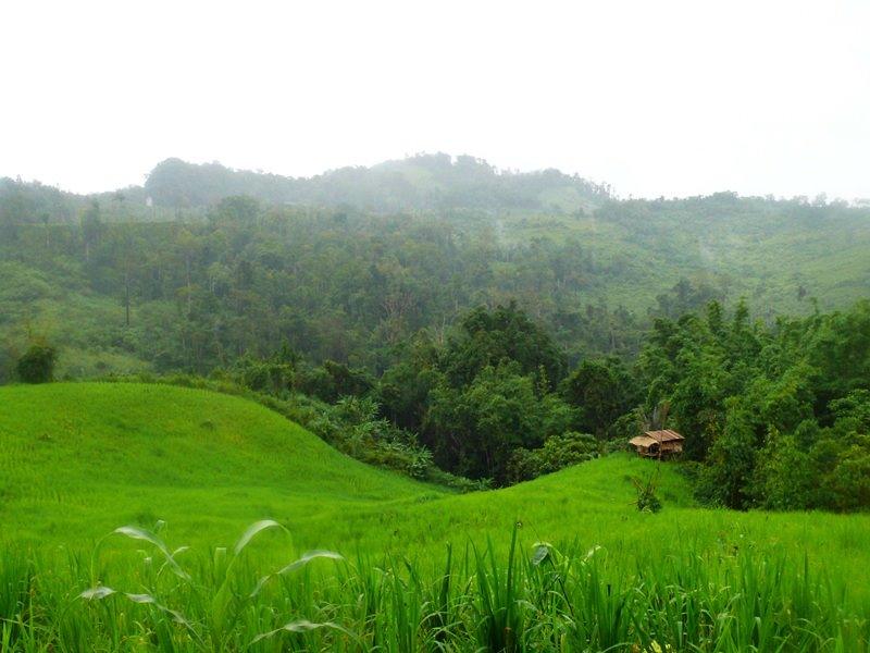 สวยๆต้อนรับฤดูฝนครับ