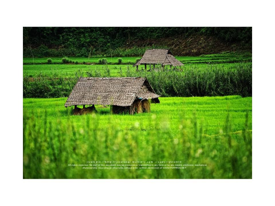 สวยๆต้อนรับฤดูฝนครับ