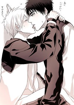 YAOI 222