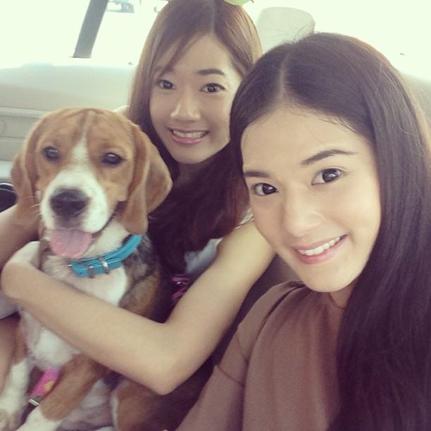 Pic สาวน่ารักเป๊ะ อลิส อภัสนันท์