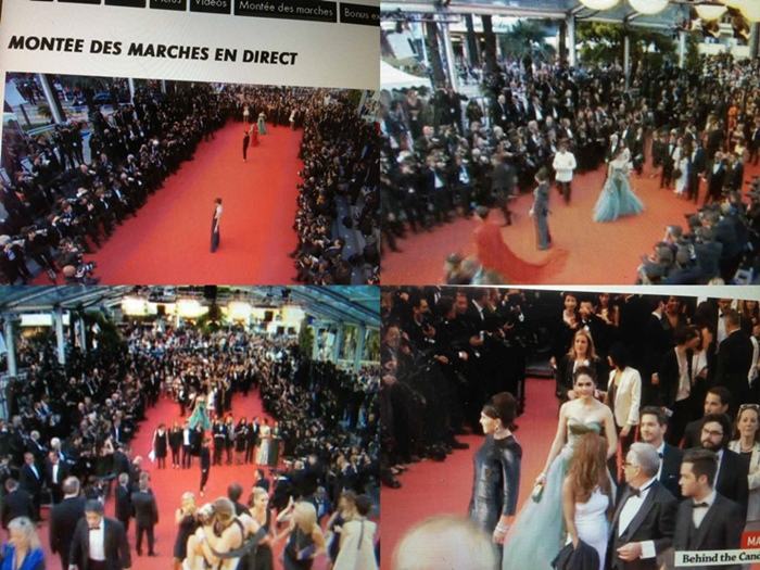 ชมพู่ อารยา @ RED CARPET CANNES FILM FESTIVAL