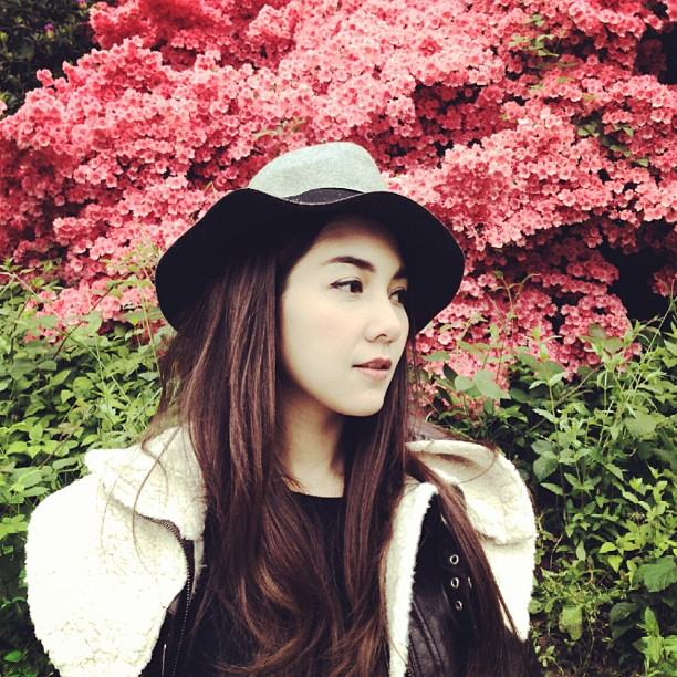 วุ้นเส้น วิริฒิพา
