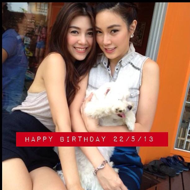 วุ้นเส้น วิริฒิพา