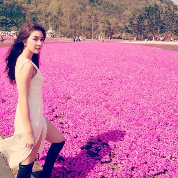 วุ้นเส้น วิริฒิพา