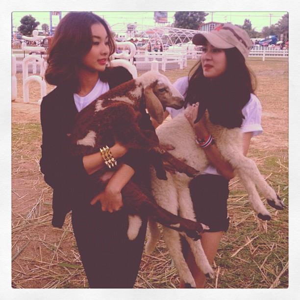 ความน่ารัก ของ โฟร์มด อดีต ยัน ปัจจุบันจ้า