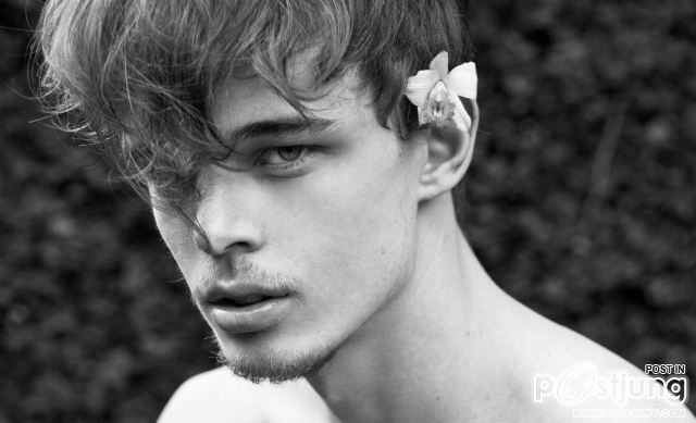 Andre Bona