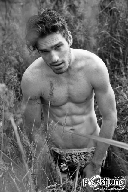 Pedro Moreno