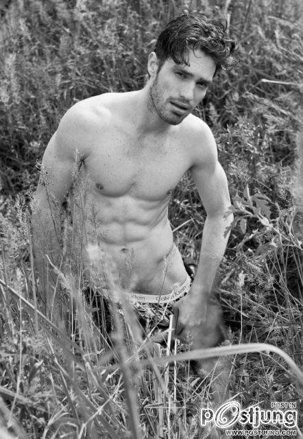 Pedro Moreno